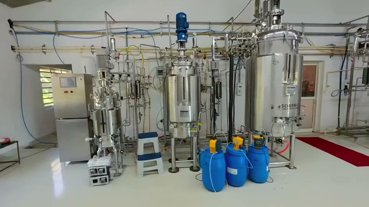 Stainless steel fermenters in the Bloom Biotech production hall