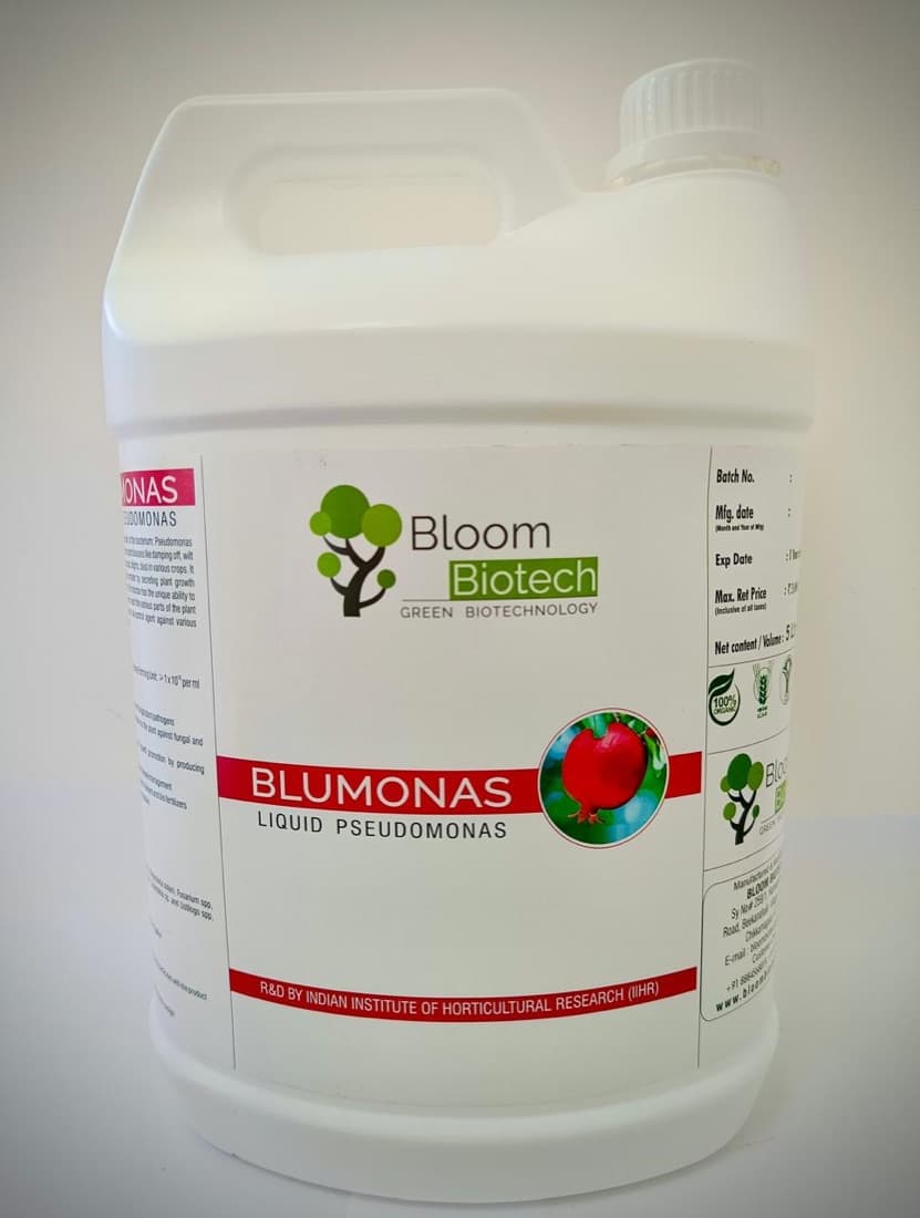 Blumonas pack, showing the printed organisms, colony count, batch and expiry fields