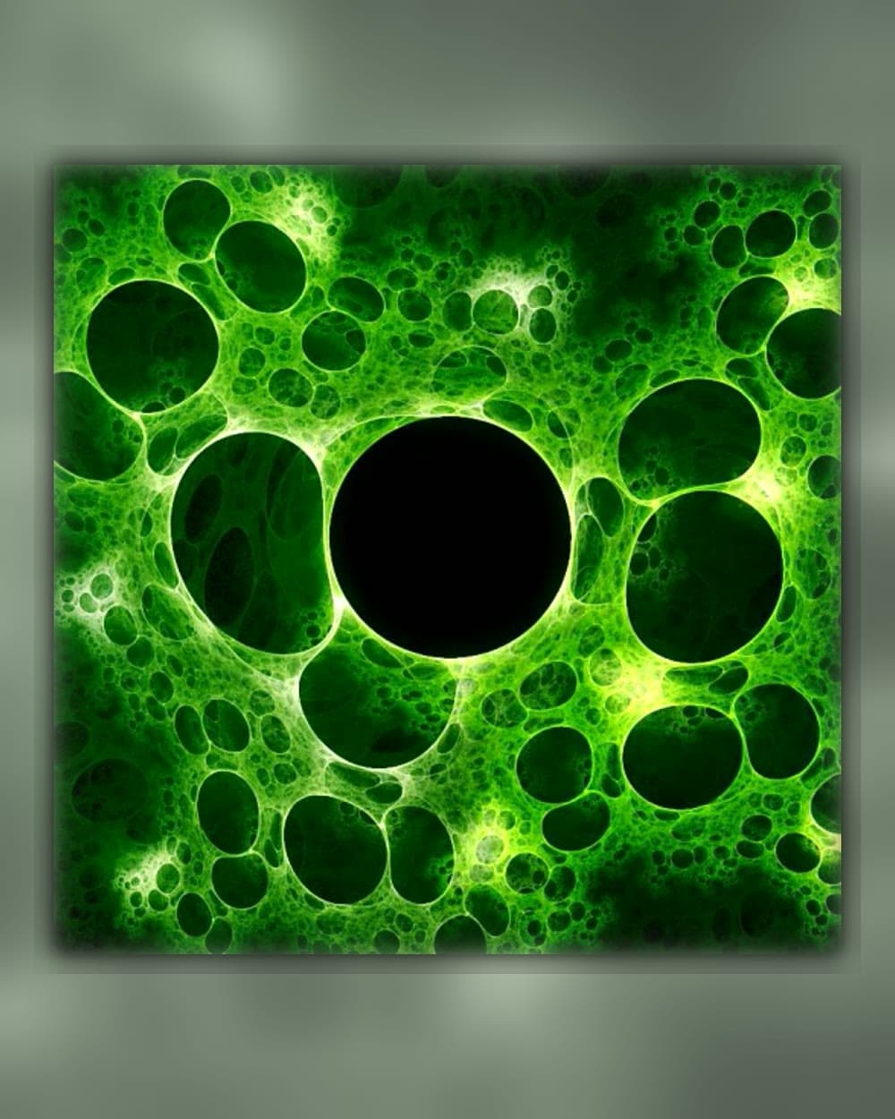AscoGold — Amino acids and Ascophyllum nodosum extract